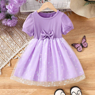 Toddler girl's  purple butterfly mesh dress