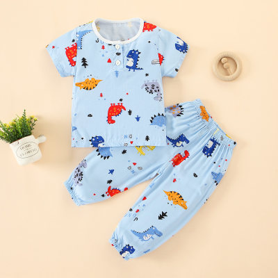 Toddler Boy Cartoon Casual T-shirt & Trousers Pajamas