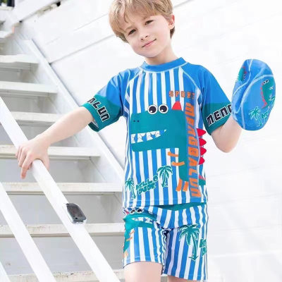 Children's swimsuit boy cute dinosaur cartoon baby quick-drying swimsuit suit small and medium-sized boy swimsuit
