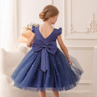 Girls princess skirt tutu flower girl dress children piano performance costume host costume little girl dress  Blue