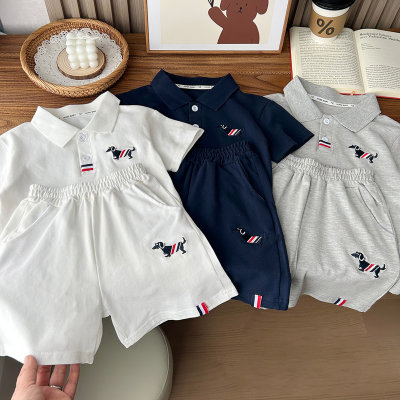 2024 New Summer Style Children's Clothing Boys Children's Mesh TB Wind Sports Breathable Short Sleeve Shorts Set Wholesale Dropshipping
