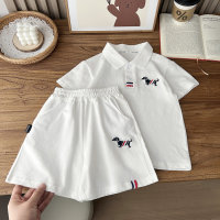 2024 New Summer Style Children's Clothing Boys Children's Mesh TB Wind Sports Breathable Short Sleeve Shorts Set Wholesale Dropshipping  White