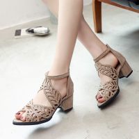 Summer new solid color hollow back zipper fish mouth women's fashionable thick high heel sandals  Apricot