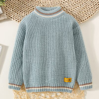 Toddler Boy Solid Color Stripe Pattern Mock Neck Knitted Sweater  Light Blue