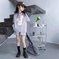 Girls summer suit stylish middle and large children's short-sleeved summer casual shorts sports two-piece suit  Gray