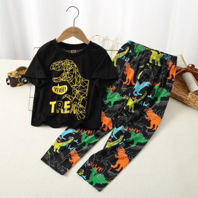 Kid Boy Dinosaur Print T-shirt & Pants