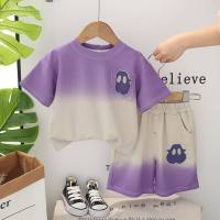 Boys summer suit 2024 new stylish Korean style baby summer short-sleeved two-piece suit infant children's clothes  Purple