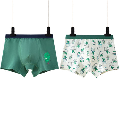 Cartoon Printed Boxer Briefs for Middle and Large Kids