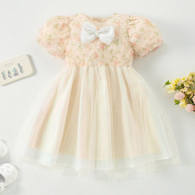 Girl Baby Elegant Sweet Mesh Botanical Print Dress