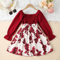 فستان الأميرة المطابق للألوان الجميلة للفتيات الصغيرات  أحمر