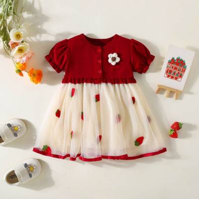 Nuevo vestido de princesa de malla de flores pequeñas tridimensional para niña de verano, falda pequeña para niñas, falda de gasa bordada con fresas