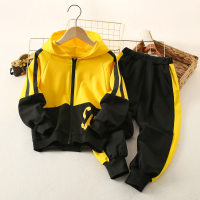 Kid Boy Color-block Hooded Zip-up Jacket & Pants  Yellow