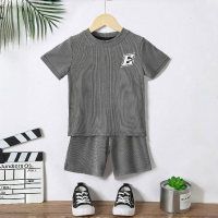 Toddler Boy's Textured Fabric And Contrasting Letter Design T-shirt Set  Gray
