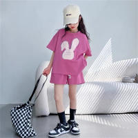 Girls summer suit stylish middle and large children's short-sleeved summer casual shorts sports two-piece suit  Purple
