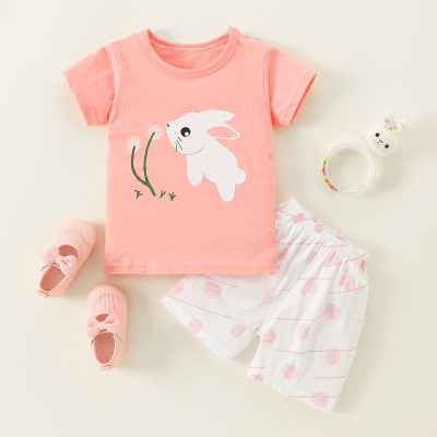 Toddler Boy Bunny Dandelion T-shirt & Dandelion Print Shorts