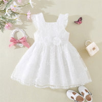 Toddler Girl Floral Lace Floral Mesh Butterfly Sleeve Formal Dress  White