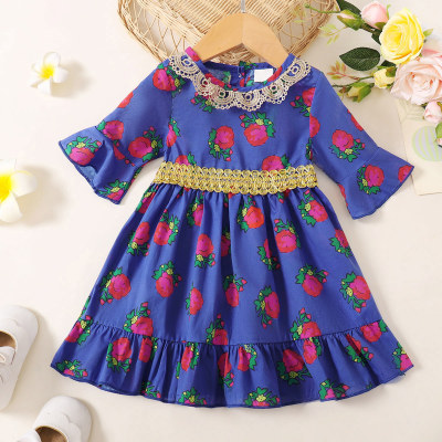 Baby Girl Clashing Lace Floral Dress
