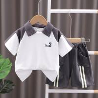 Boys summer suit 2024 new style cool children's fashionable summer short-sleeved polo shirt sports clothes  Gray