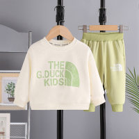 Camisetas y pantalones de manga larga con estampado de letras informales de otoño para niño pequeño de 2 piezas  Verde