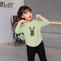 Toddler Girls Casual  Dopamine Colorful Maillard Style Long Sleeve T-Shirt  Green