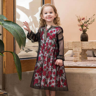 Toddler Girl Sequin Blouse Rose  Dress