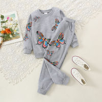 Toddler Girl Butterfly Pattern Sweater & Pants  Gray