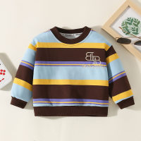 Toddler Boy Color-block Striped Sweatshirt  Coffee
