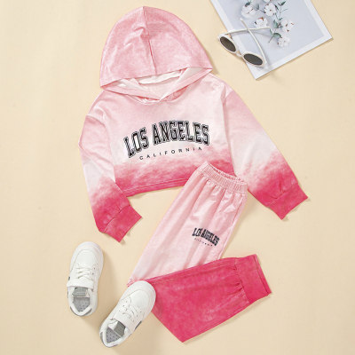 Toddler Letter Printed Gradient Hooded Sweater & Pants