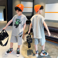 Boys summer casual suits small and medium children's loose sleeveless tops and shorts two-piece pullover T-shirt cotton suit  Gray