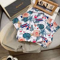 2024 new style boy summer shirt suit boy baby summer Hong Kong style handsome shirt short-sleeved suit  White