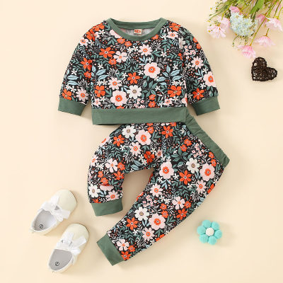 Baby Daily Round neck Print Floral Long-sleeve weater set