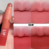 Stylo à lèvres multicolore en velours mat, quatre couleurs, abordable, rouge à lèvres de niche  Multicolore1