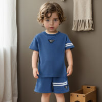 Toddler Boy's Contrast Stripes Print Sporty Tee And Shorts  T-shirt Set  Blue