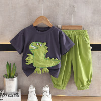 Boys summer suit 2023 new handsome baby big dinosaur short-sleeved two-piece set children's clothing cartoon two-piece set  Gray