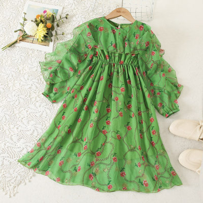 Kid Girl Rose Print Dress