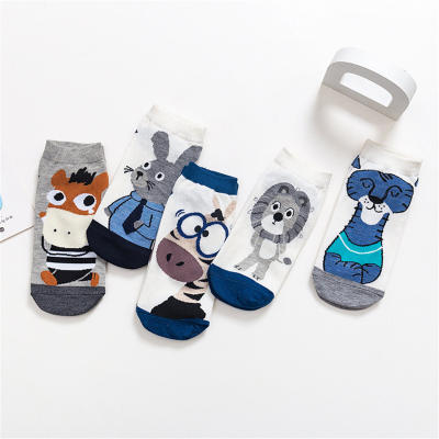 5-piece zebra pattern socks set for middle and large children
