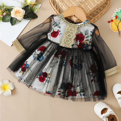 Baby Girl Long Sleeve Floral Mesh Dress Two-Piece