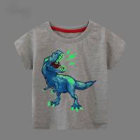 2023 Sommer Jungen leuchtend bedrucktes Dinosauriermuster Kinder Kurzarm-T-Shirt Jungen-Bottom-Shirt einteilige Verteilung  Grau