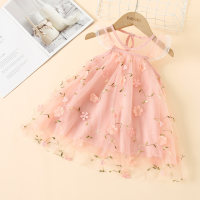 Toddler Girls Mesh Sweet Floral Embroidery Lace Short Sleeve Dress  Pink