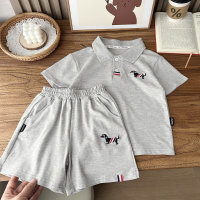 2024 New Summer Style Children's Clothing Boys Children's Mesh TB Wind Sports Breathable Short Sleeve Shorts Set Wholesale Dropshipping  Gray