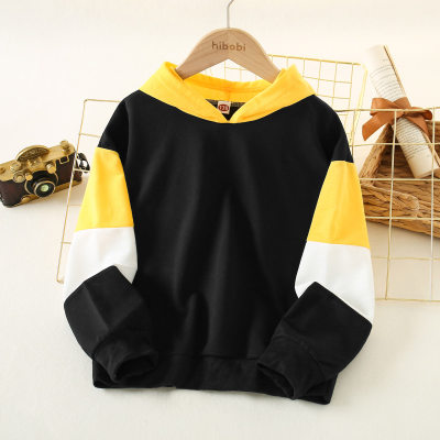 Kid Color-block Hooded Pullover Sweater