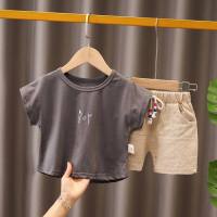 Boys short-sleeved suit pure cotton half-sleeved summer suit summer baby children 1 year old 3 baby Internet celebrity two-piece set trendy  Gray