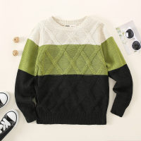 Kid Boy Color-block Textured Knitted Sweater  Green