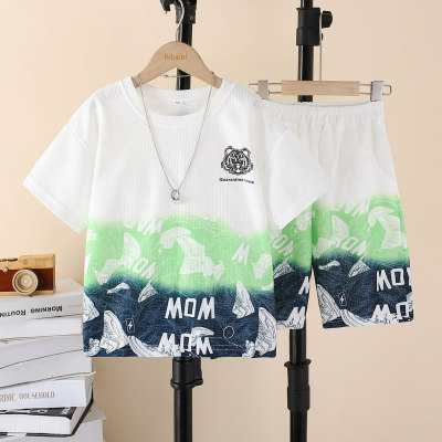 2-piece Kid Boy Gradient Color Letter and Tiger Printed Short Sleeve T-shirt