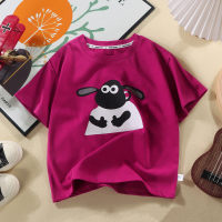 Children's new pure cotton short-sleeved T-shirts for middle and large children Korean style fashionable loose summer tops  Hot Pink