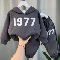 2-Piece Toddler Boy Autumn Casual Letter Print Hooded Long Sleeves Tops & Pants  Gray