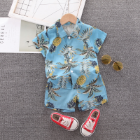 Toddler Boy Pineapple Print Shirt & Shorts  Blue