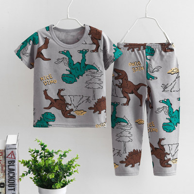 Toddler Boy Cartoon Dinosaur Print Pajama Top & Pants