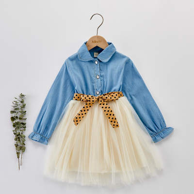 Toddler Girl Color-block Long Sleeve Dress