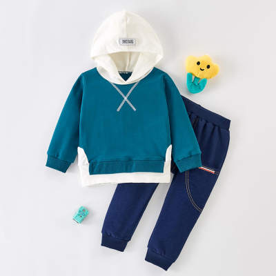 Toddler Casual Color Block Hooded Sweatshirt & Pants